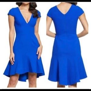 Dress the Population Bettie Hi-Lo Ruffle Hem Dress